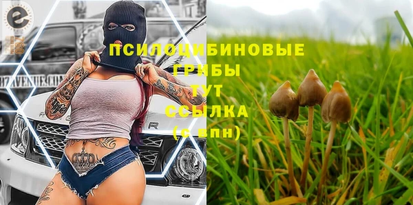 Альфа ПВП Арсеньев