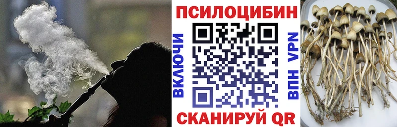 Псилоцибиновые грибы GOLDEN TEACHER  даркнет сайт  Нижняя Салда 